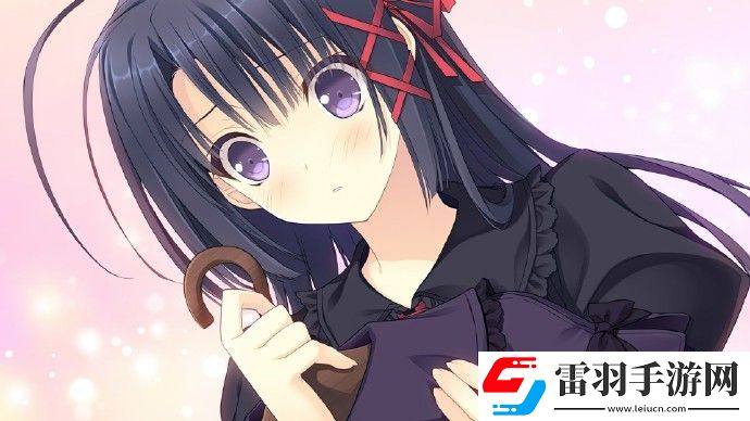 少女理论及其周边steam多少钱