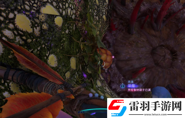 阿凡达潘多拉边境餐饭记忆支线任务怎么做