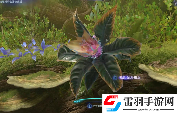 阿凡达潘多拉边境一路顺风支线怎么做