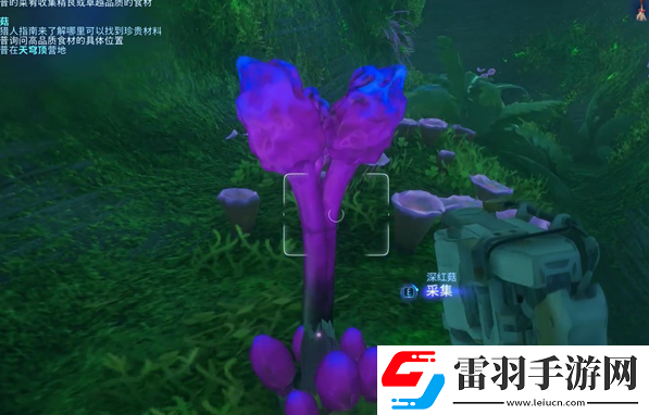 阿凡达潘多拉边境餐饭记忆支线任务怎么做