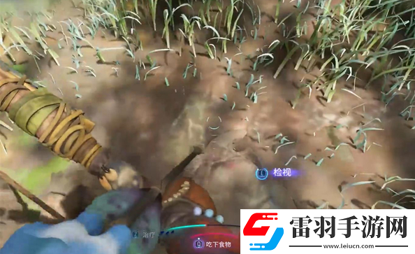 阿凡达潘多拉边境夺命狩猎支线任务怎么做