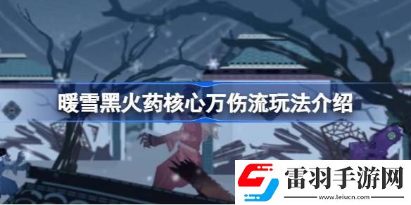 暖雪黑火药核心万伤流怎么玩