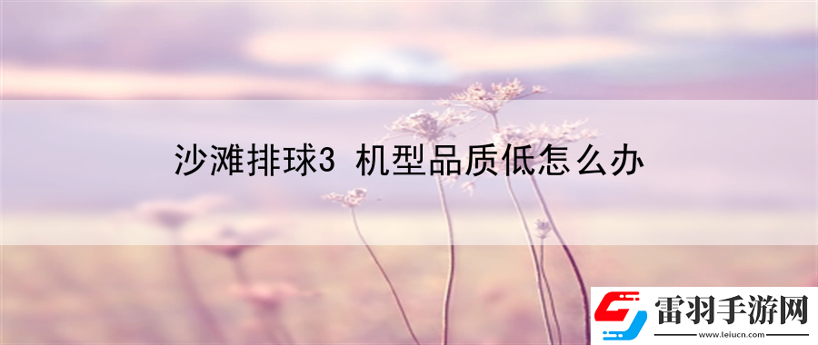 沙滩排球3机型品质低怎么办