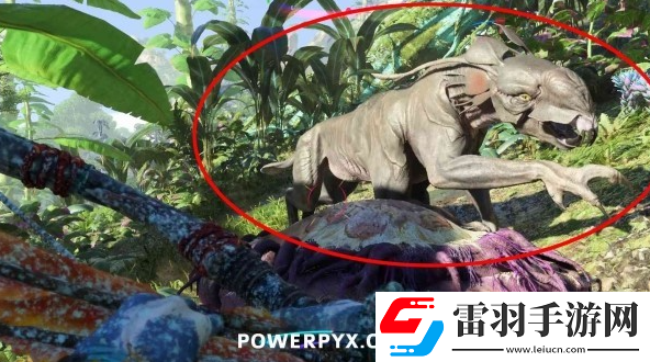 阿凡达潘多拉边境非狂野黑甲巨豹在哪