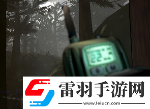 致命公司代码有哪些