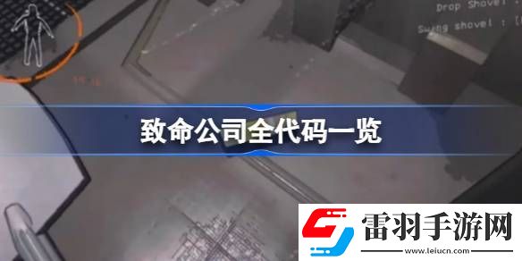 致命公司代码有哪些