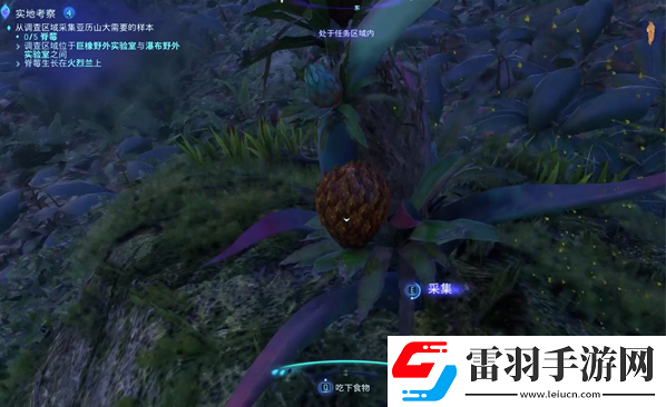 阿凡达潘多拉边境实地考察支线怎么做
