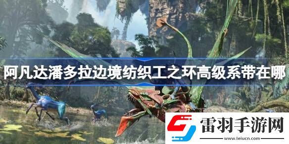 阿凡达潘多拉边境纺织工之环高级系带在哪