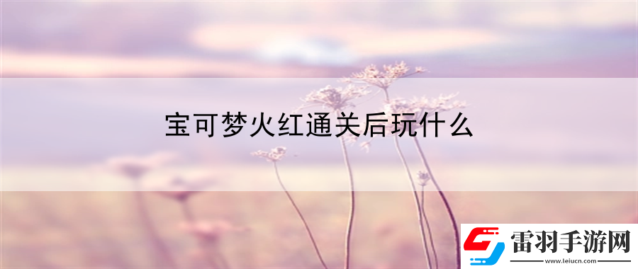 宝可梦火红通关后玩什么
