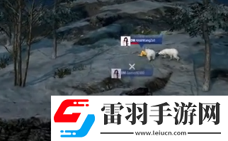 pubg狗熊杀职业选手是怎么回事