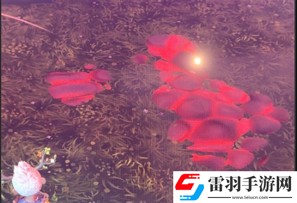 荒原疗者污染地面修复方法
