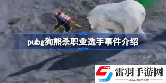 pubg狗熊杀职业选手是怎么回事