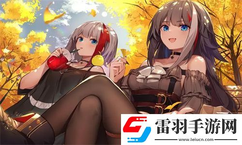 综合一和综合二图片区别在哪