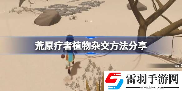 荒原疗者植物杂交方法分享