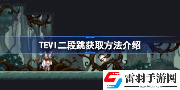 TEVI二段跳在哪儿拿