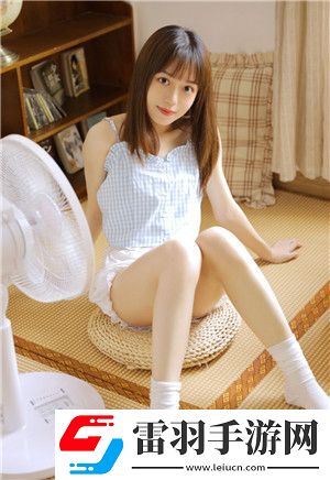 成品网站5668入口的功能介绍