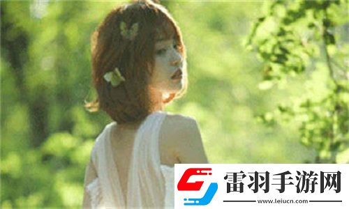 成品网站5668入口的功能介绍