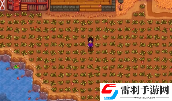 星露谷物语春天怎么保地
