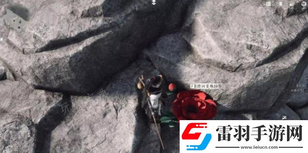燕云十六声花中愿怎么做