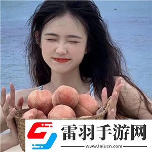 成品网站5668入口的功能介绍