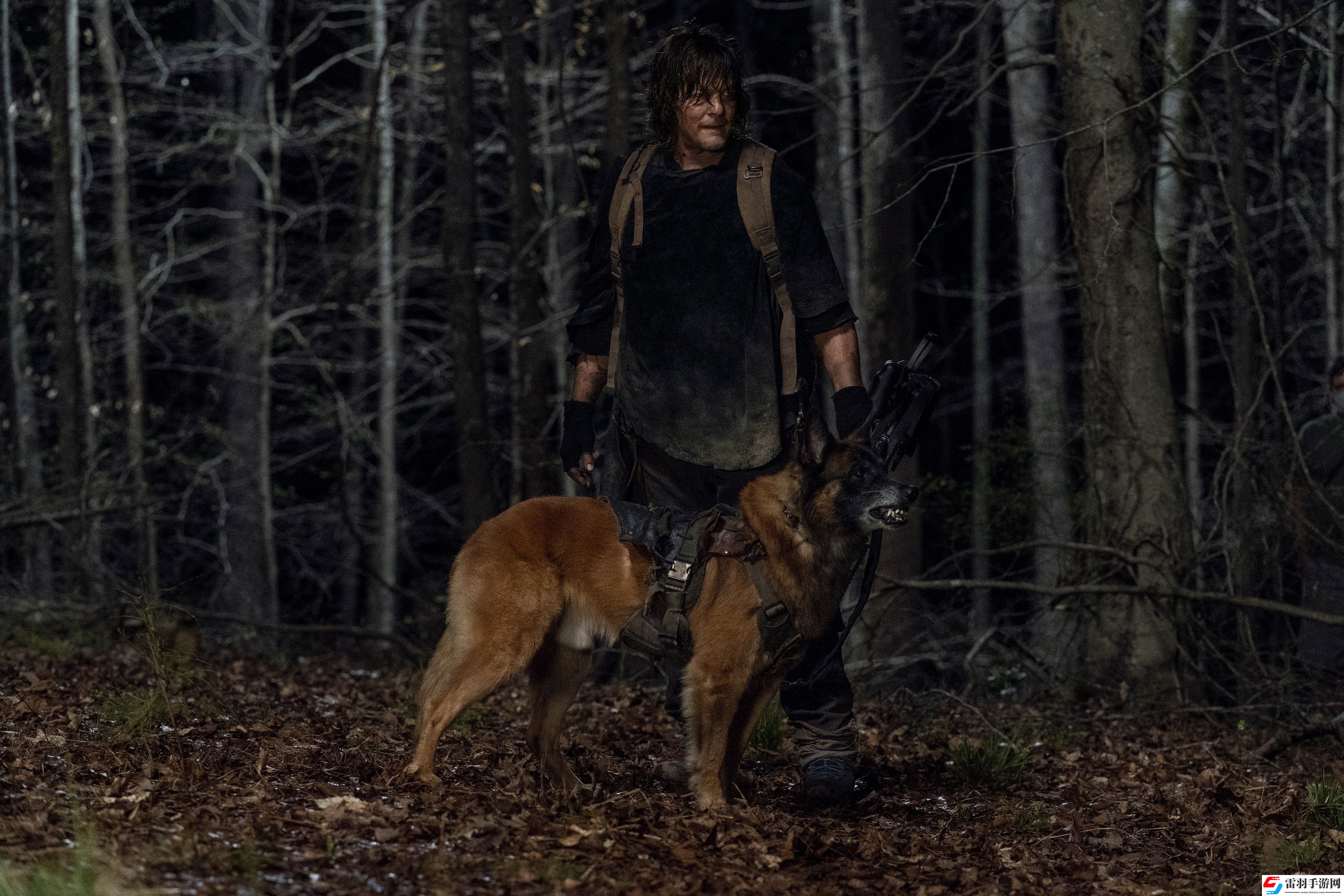 行尸走肉狗狗离世