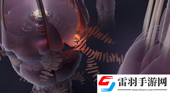 茧需要什么配置