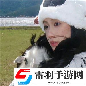 人or猪or狗已彻底下架