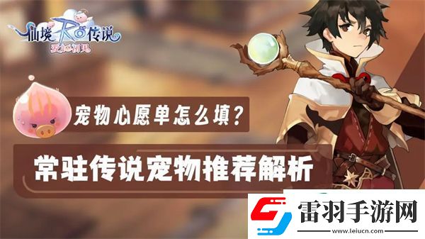 仙境传说爱如初见宠物哪个好