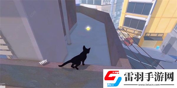 小猫咪大城市向日葵帽在哪