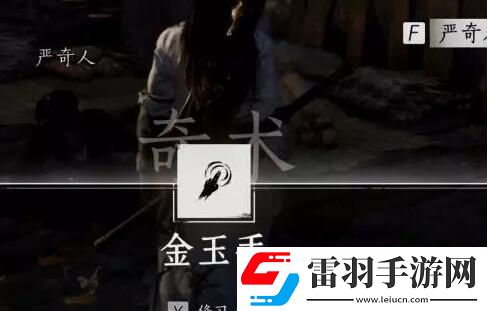 燕云十六声侠迹卷三严奇人任务如何完成