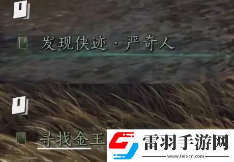 燕云十六声侠迹卷三严奇人任务如何完成