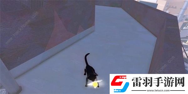 小猫咪大城市向日葵帽在哪