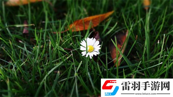 三指探洞和二指的区别是什么