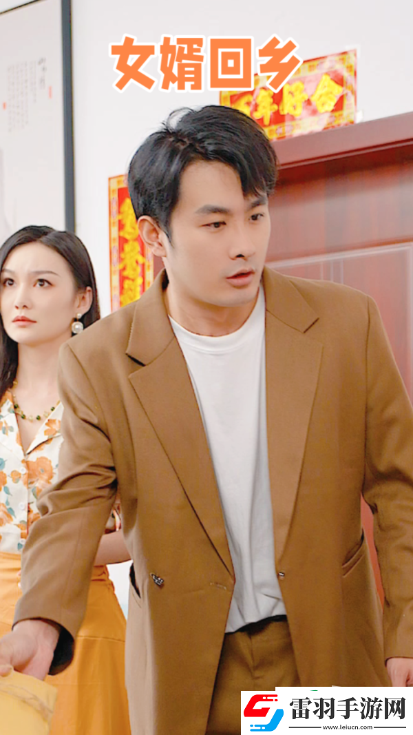 女婿回乡剧情简介
