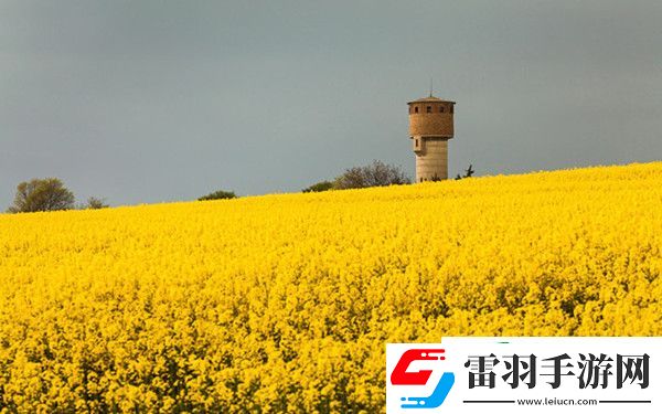 鬼泣巅峰之战