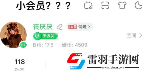 b站年度小会员怎么开通