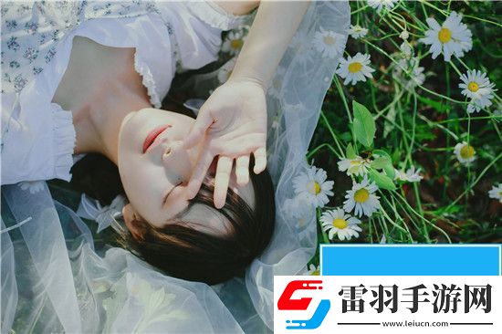 适合夫妻看的哔哩哔哩电视剧免费观看