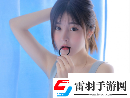 成品网源码78w78的特点
