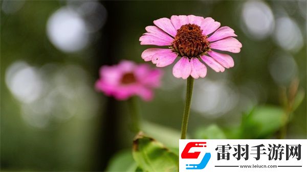 69精华国产精华液好用吗