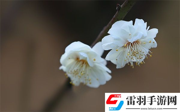 一个在上吃一个在下面敷面膜