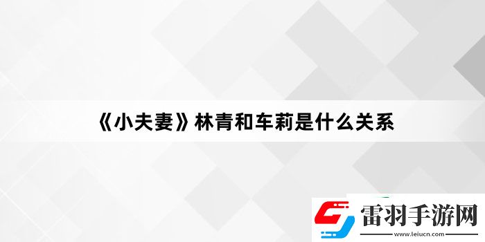 小夫妻林青和车莉是什么关系