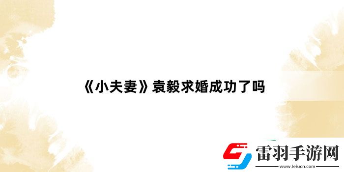 小夫妻袁毅求婚成功了吗