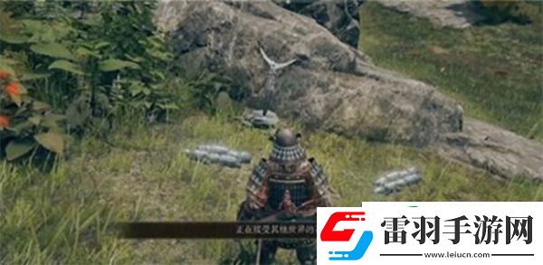 艾尔登法环怎么联机