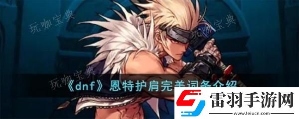 dnf恩特护肩完美词条如何样