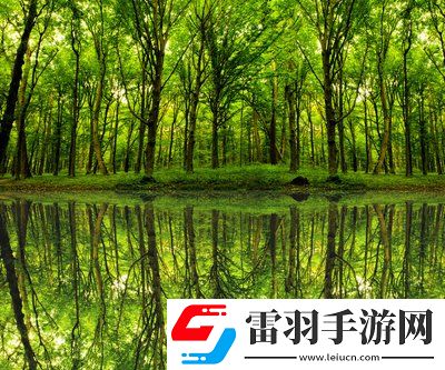 单身男女观看免费完整版:在爱与孤独之间,让你感受不一样的心动时刻!
