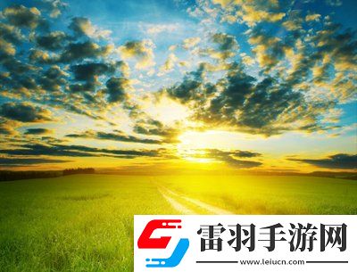 68式是怎么样的图片全解析,网友:经典与创新的完美碰撞,展现历史的独特一面!