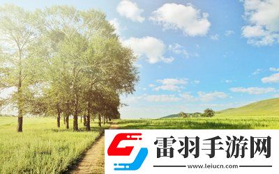 液体收集器系统HH的安装指南：准备到完成，确保每一步都精准无误！