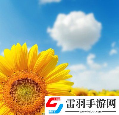 日本尺码与亚洲尺码区别的奥秘：服装尺码的文化差异，找到适合自己的完美尺寸！