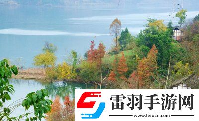 老牛影视文化传媒有限公司官方：匠心打造精品影视，开启文化新纪元！