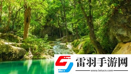 x7x7任意噪入口直达大象：探索无尽可能的数字世界，畅享惊奇与乐趣！
